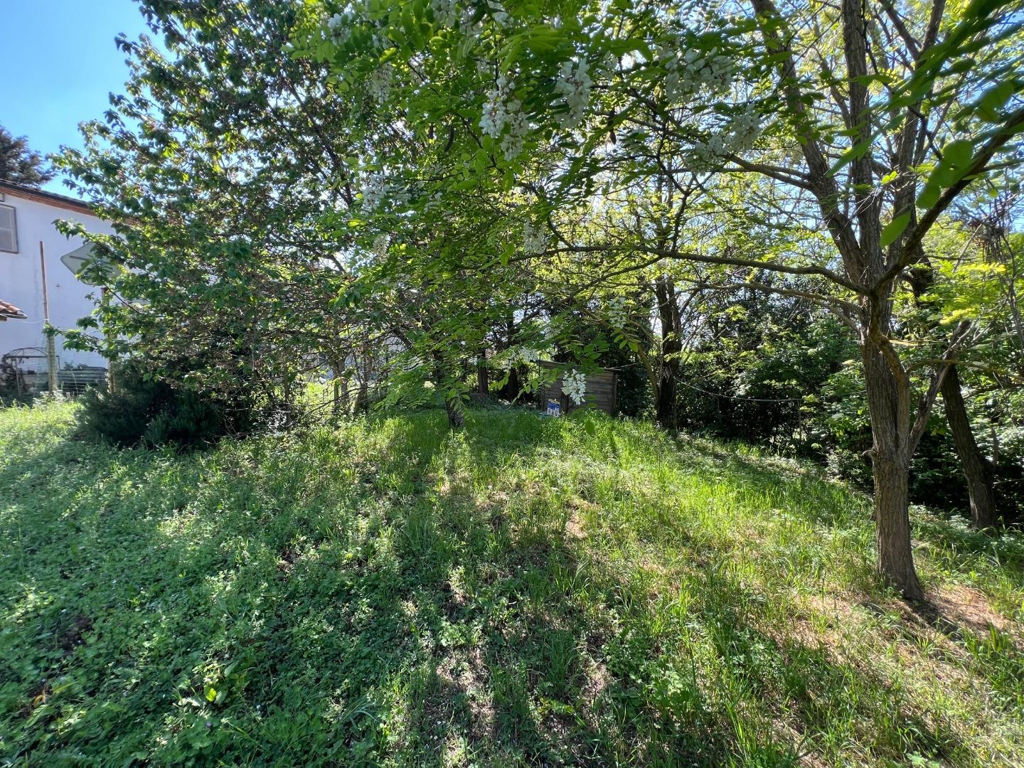 Appartamento con giardino a Collesalvetti