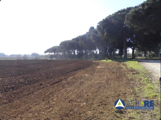 Terreno in vendita a Latina