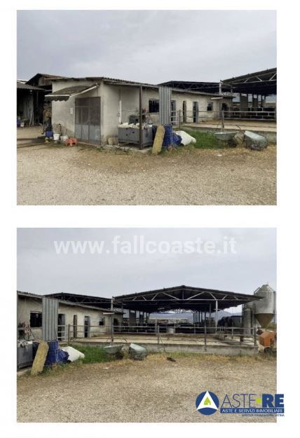 immagine annuncio 1 di 2