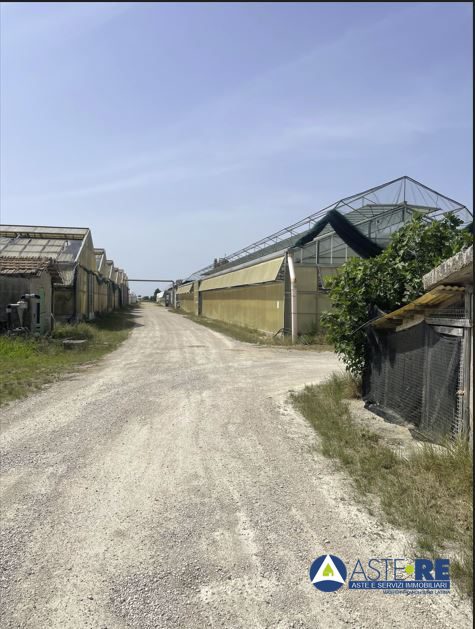 Attivit� commerciale in vendita a Pontinia