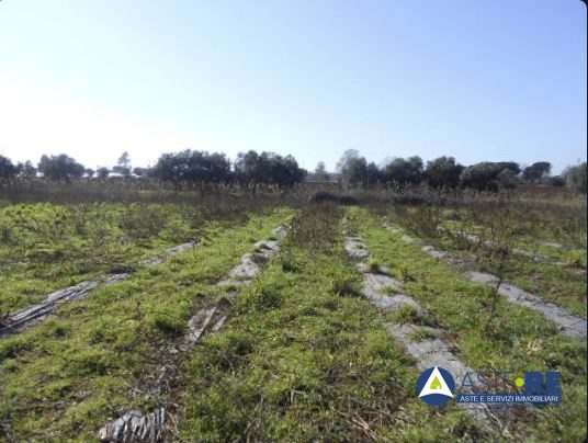 Terreno in vendita a Latina