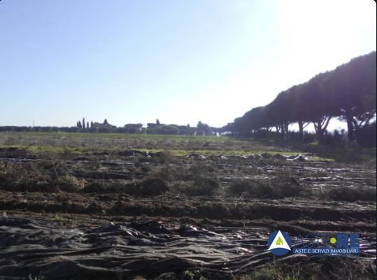 Terreno in vendita a Latina