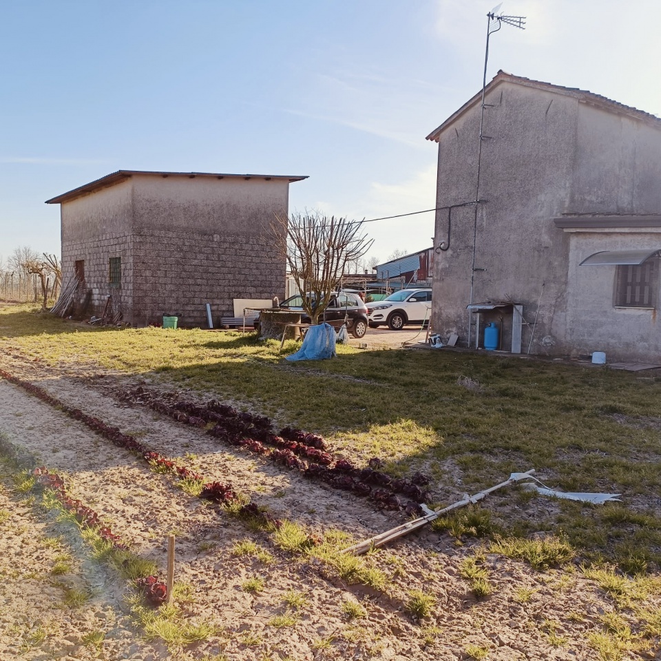 Rustico con giardino a Sant'Angelo di Piove di Sacco