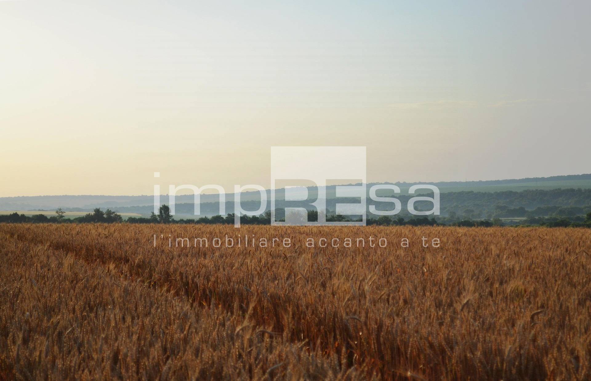 Terreno edificabile residenziale in vendita a Fossalta di Piave