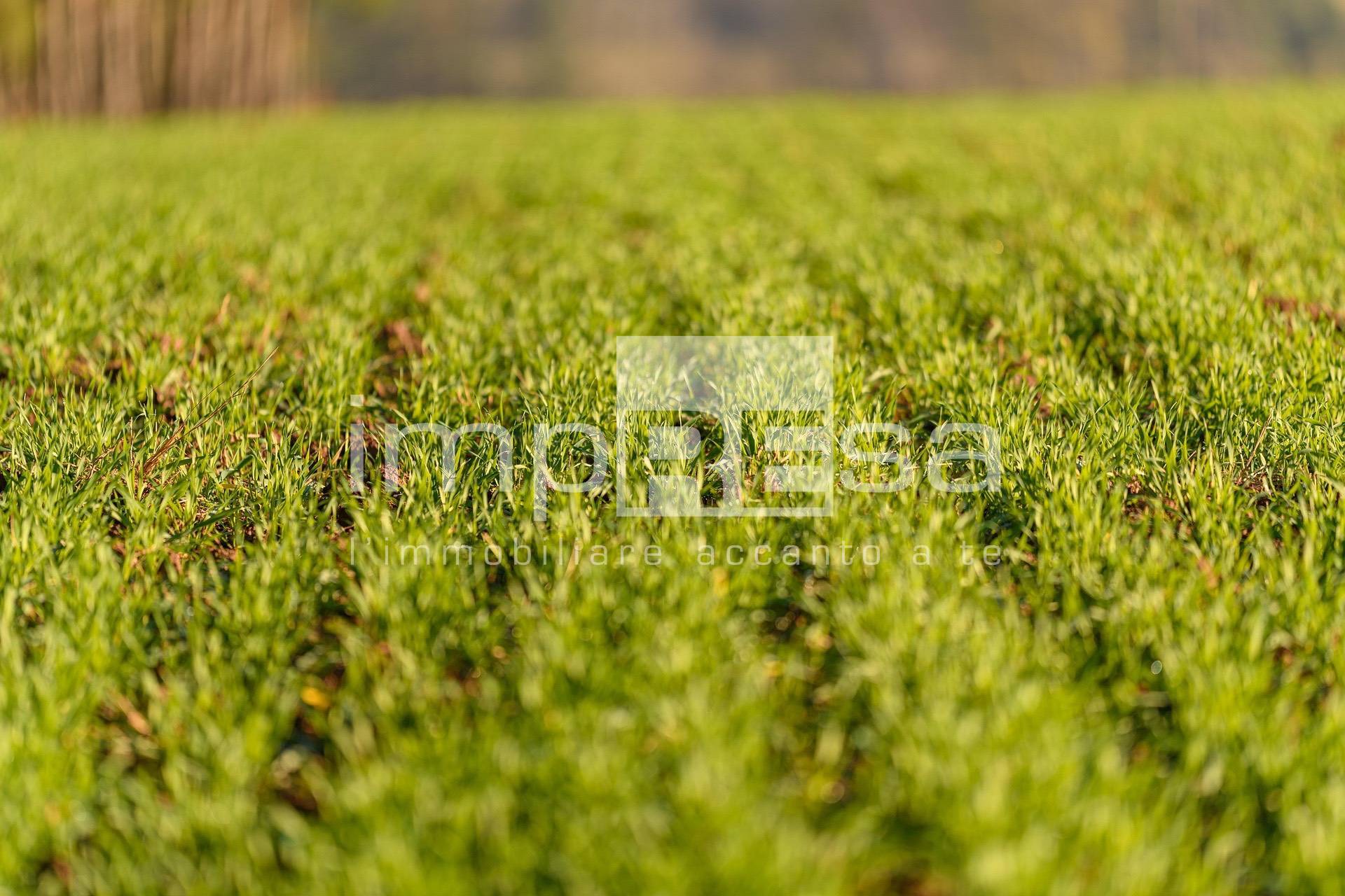 Terreno edificabile residenziale in vendita a Fossalta di Piave