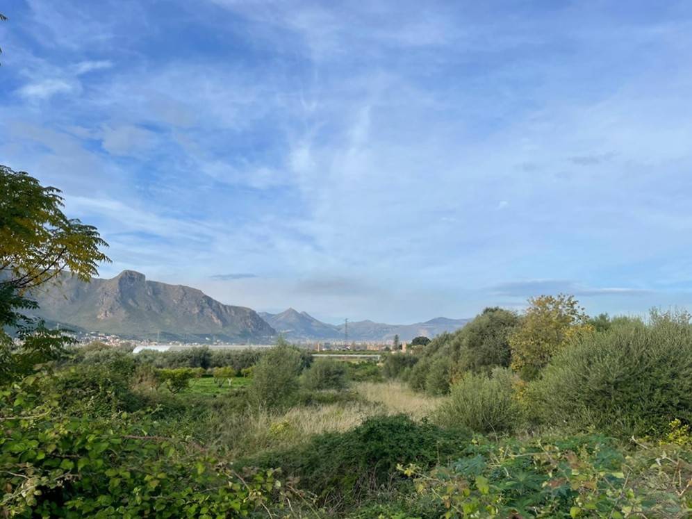 Terreno Agricolo in vendita a Palermo