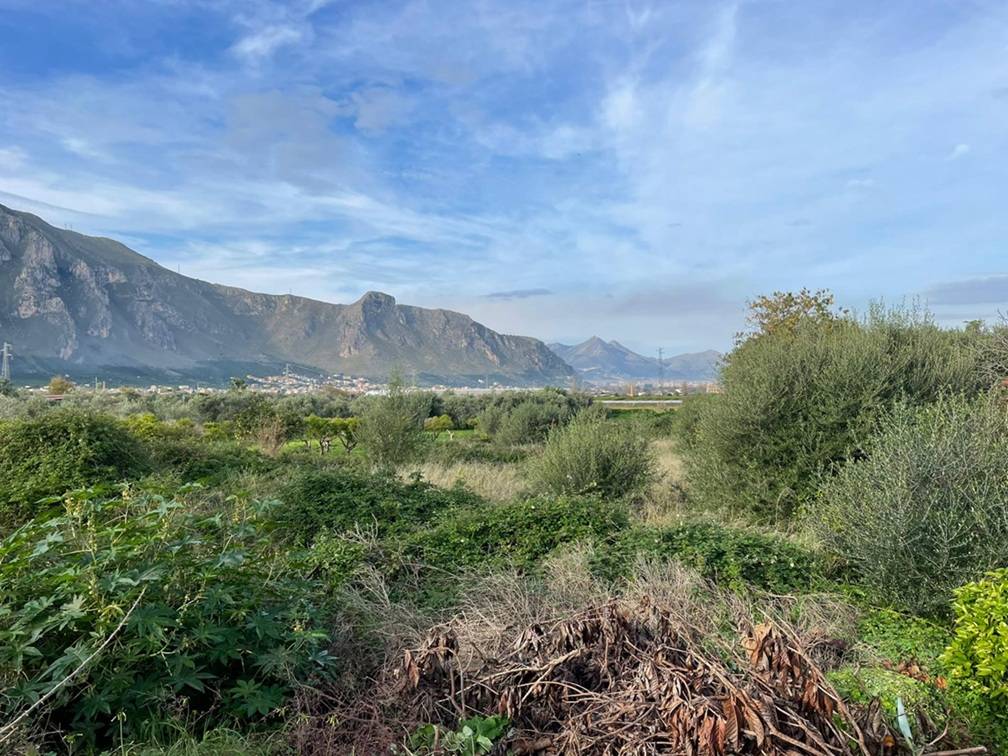 Terreno Agricolo in vendita a Palermo