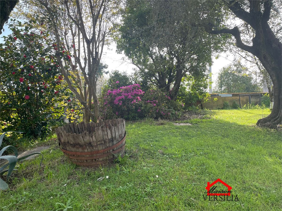 Trilocale in affitto a Massa