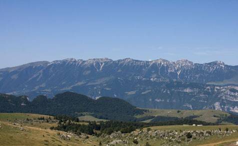 Bar/Ristorante/Pizzeria in vendita a Bosco Chiesanuova