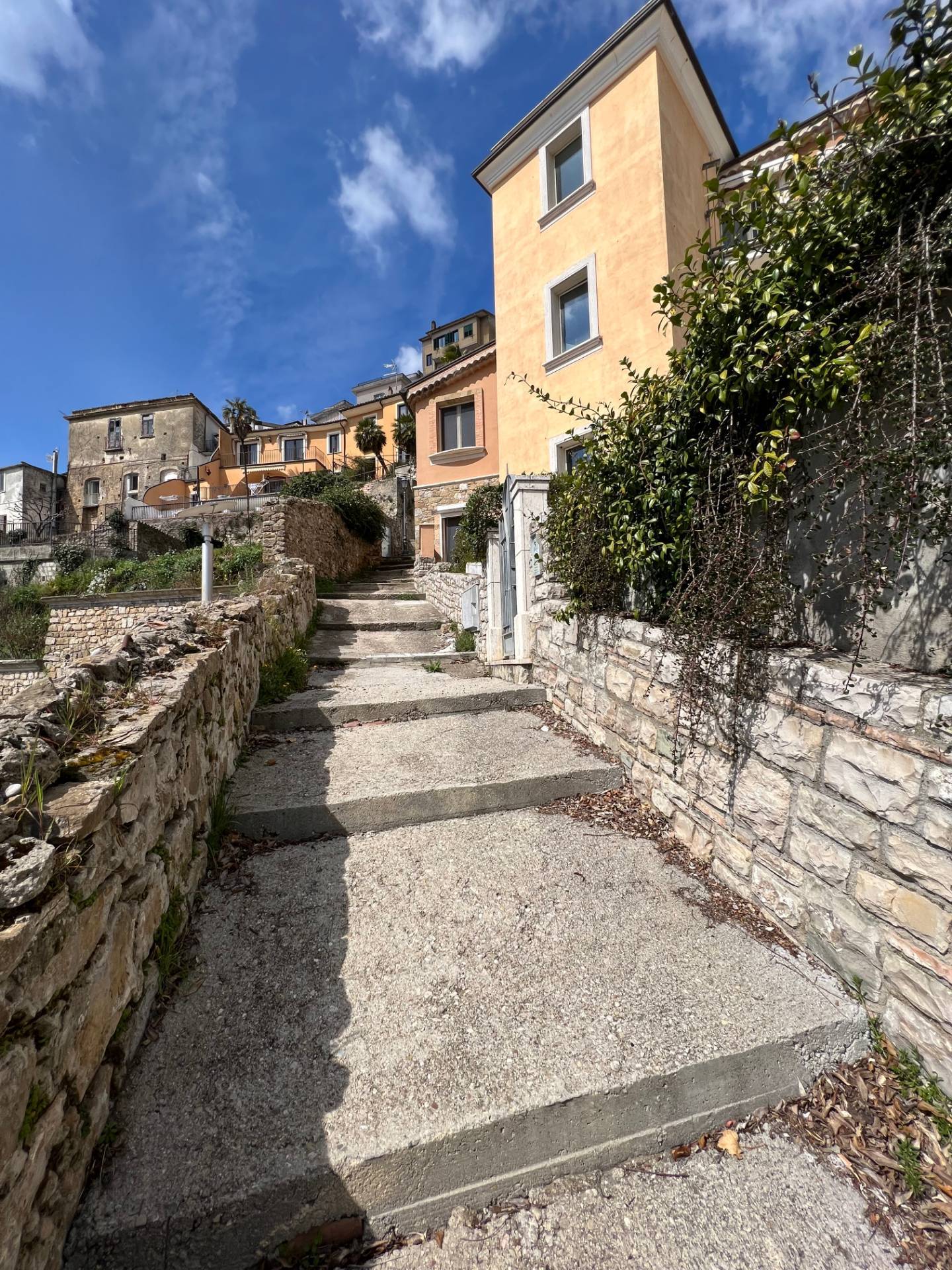 immagine annuncio 2 di 6
