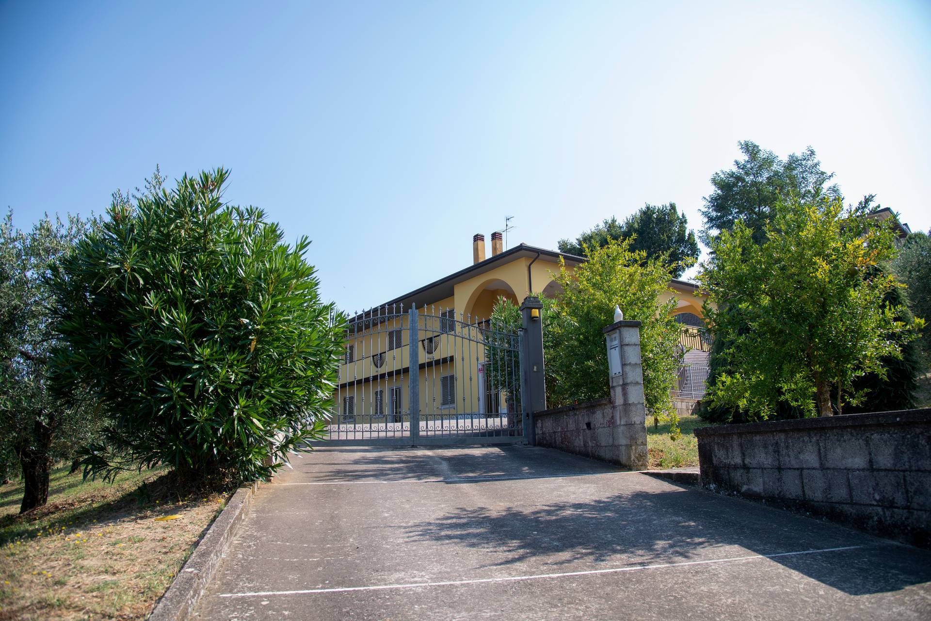 immagine annuncio 2 di 6