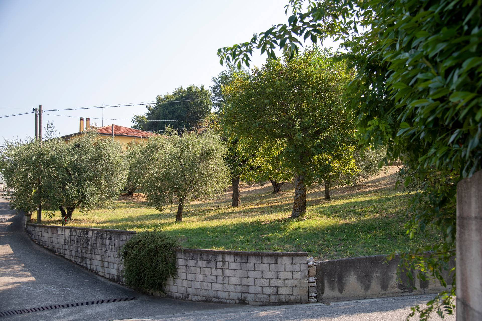 immagine annuncio 4 di 6