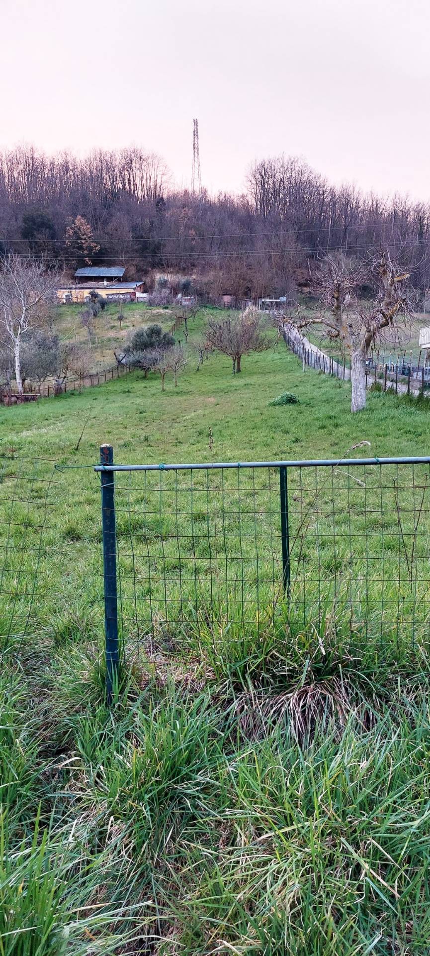 Terreno Edificabile Residenziale in vendita a Ariano Irpino, contrada accoli