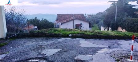 immagine annuncio 4 di 6