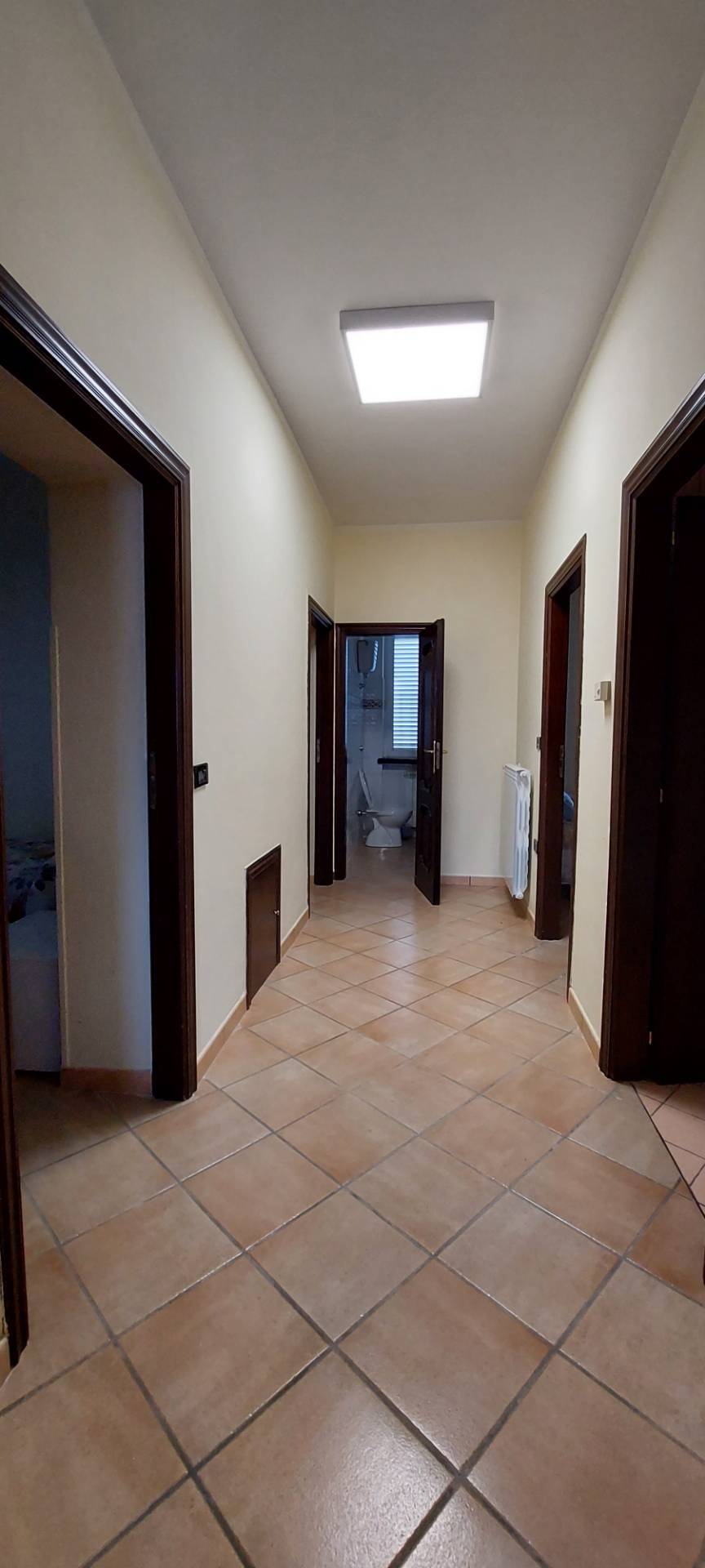 Casa singola in affitto a Ariano Irpino, contrada camporeale