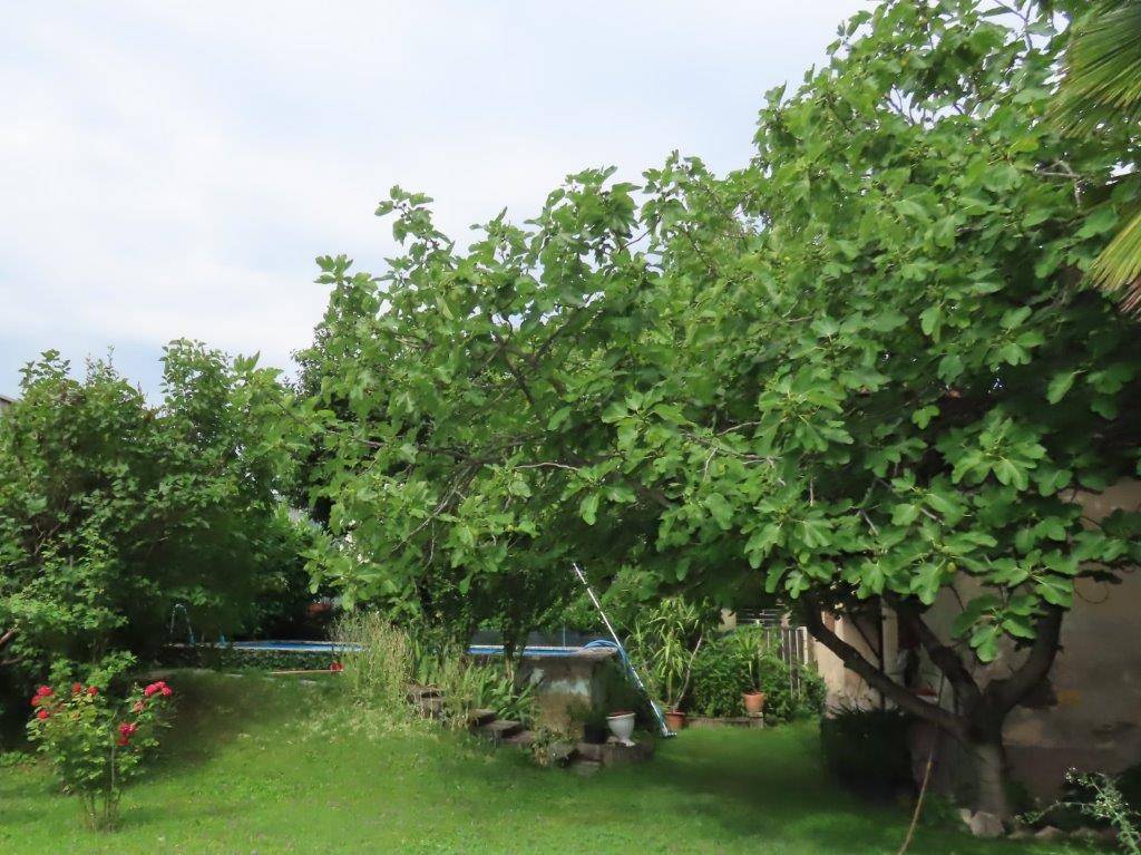 Casa semi indipendente in vendita a Laives - Leifers, San Giacomo