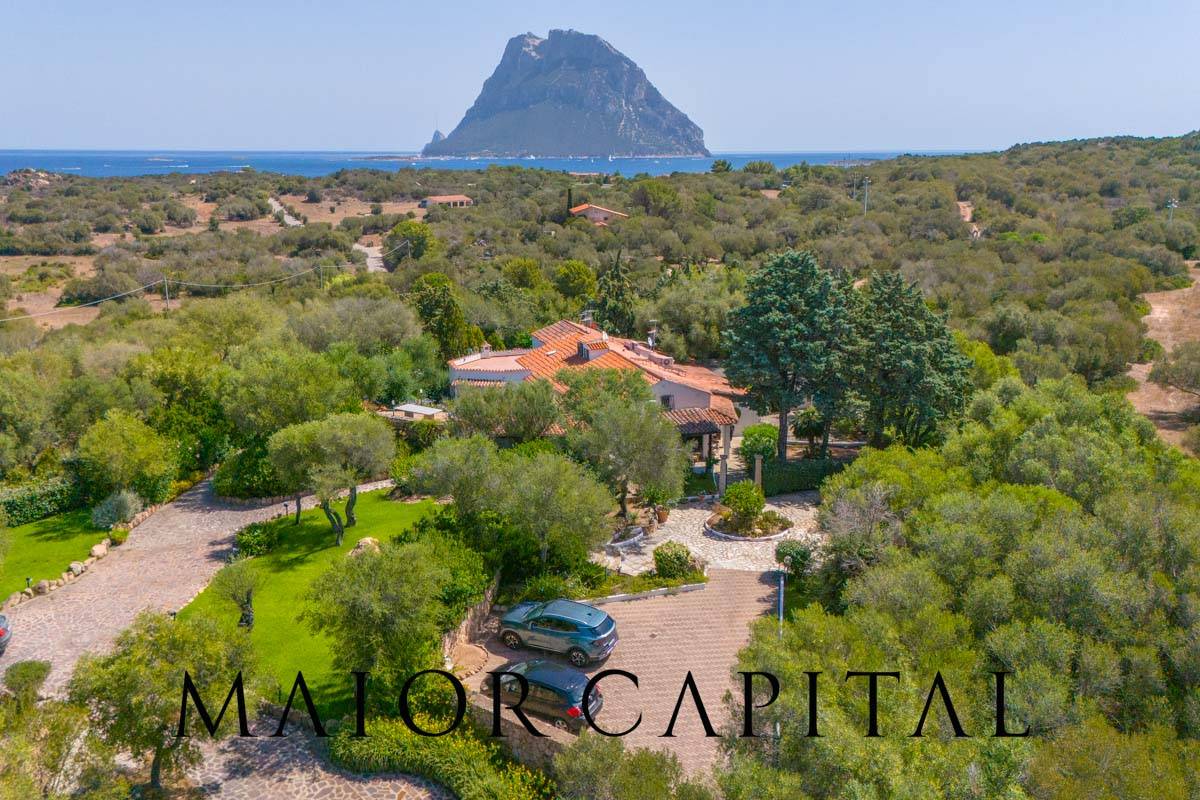 Villa in vendita a Loiri Porto San Paolo