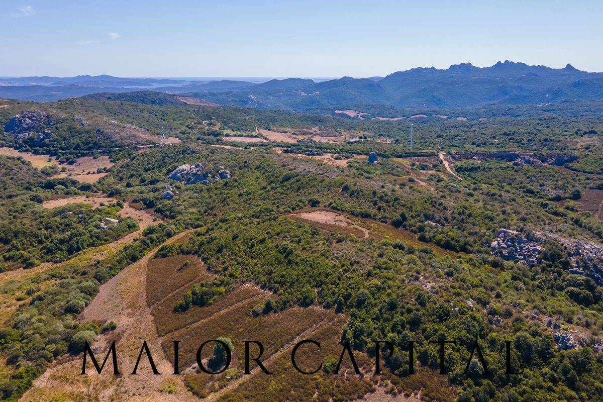 Terreno Agricolo in vendita a Palau