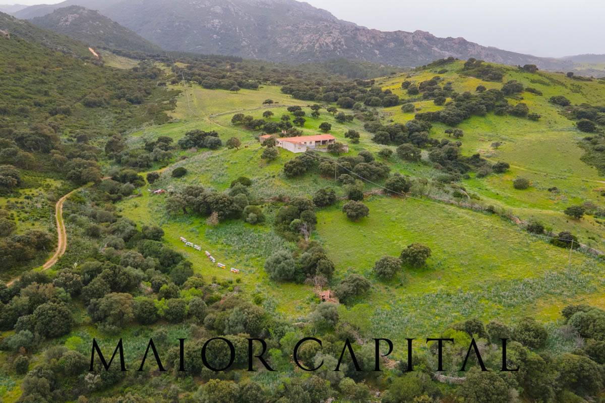 Terreno Agricolo in vendita a Berchidda