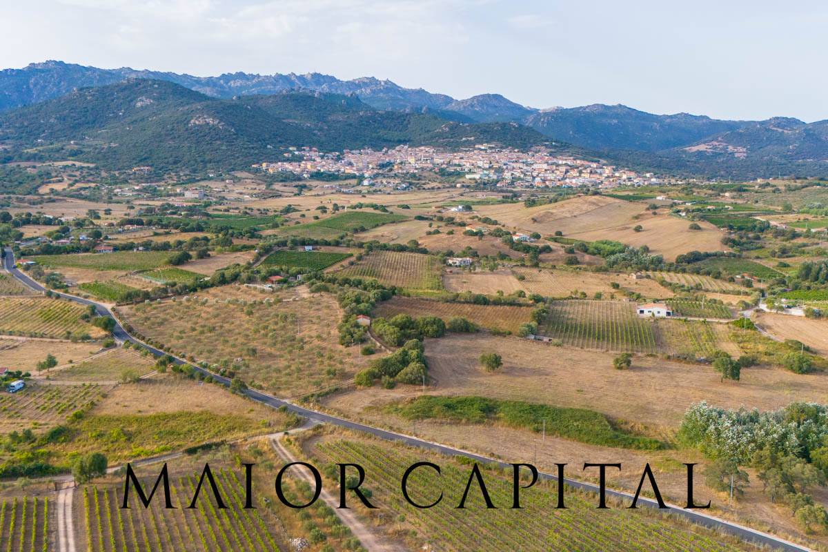 Casa singola in vendita a Berchidda