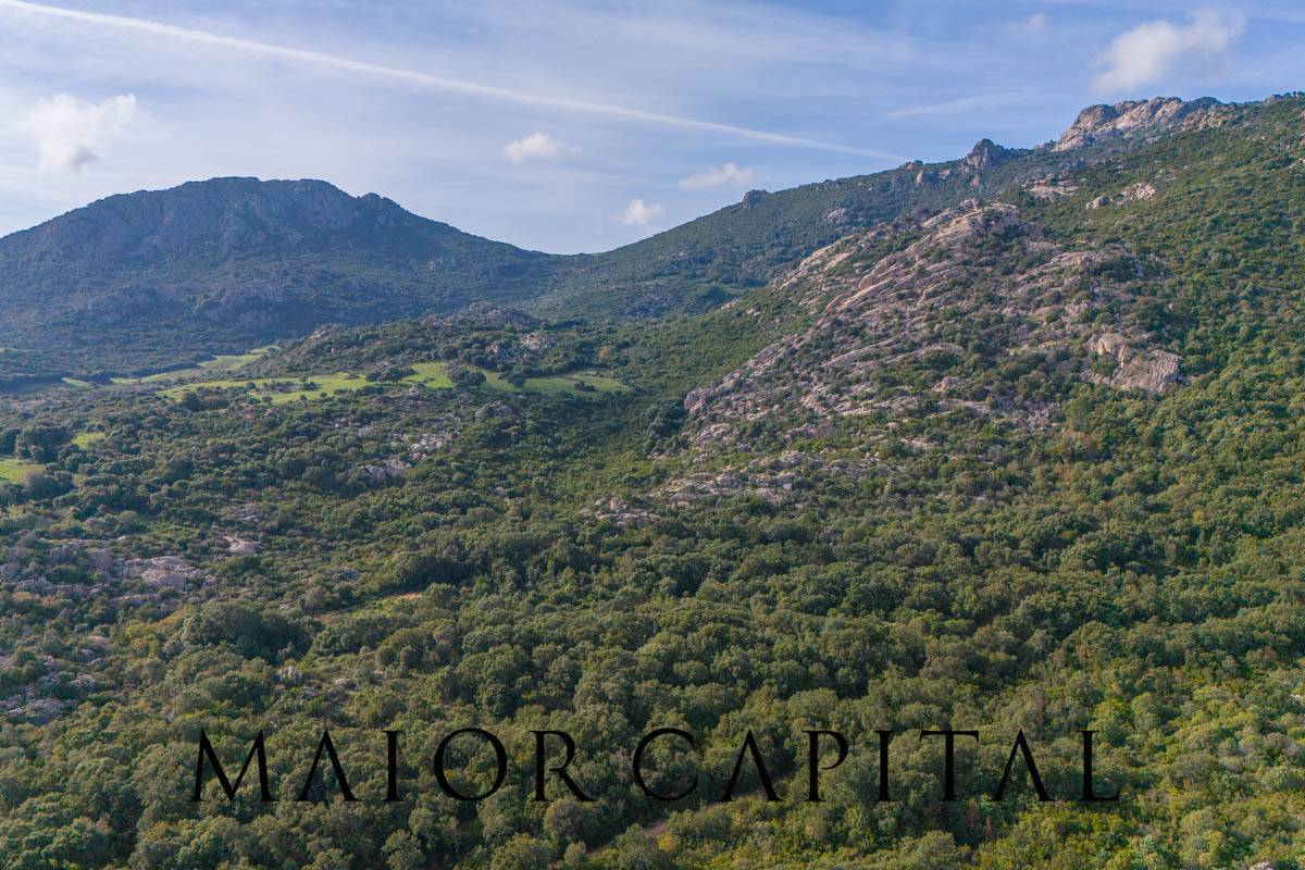 Terreno Agricolo in vendita a Calangianus