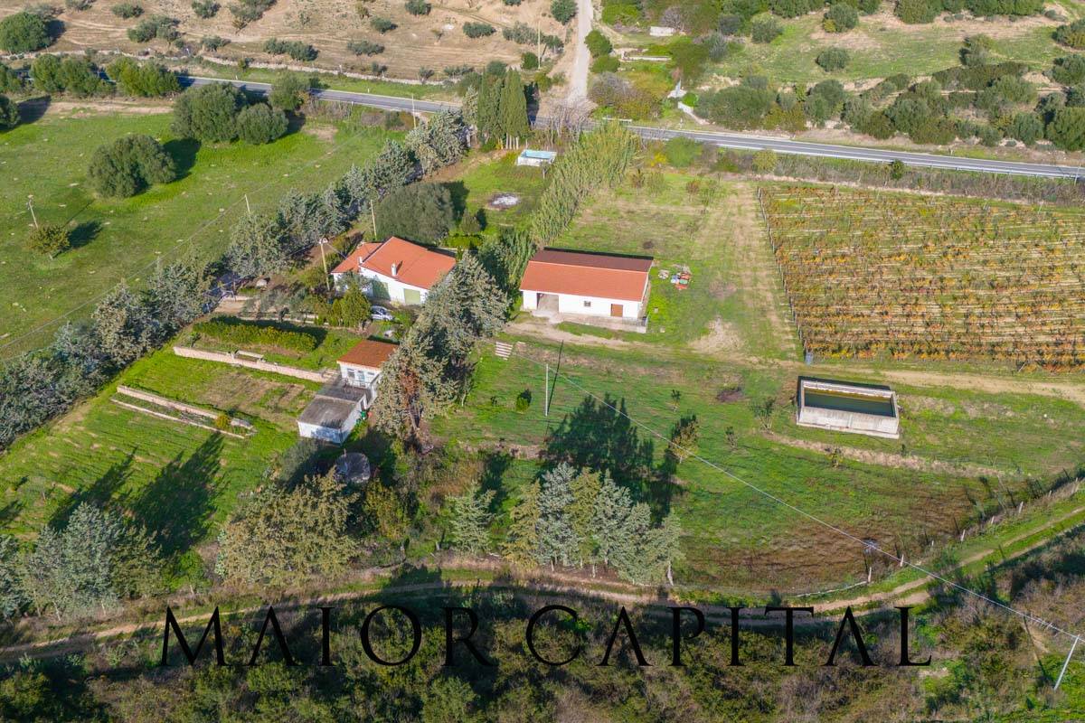 Terreno Agricolo in vendita a Oliena