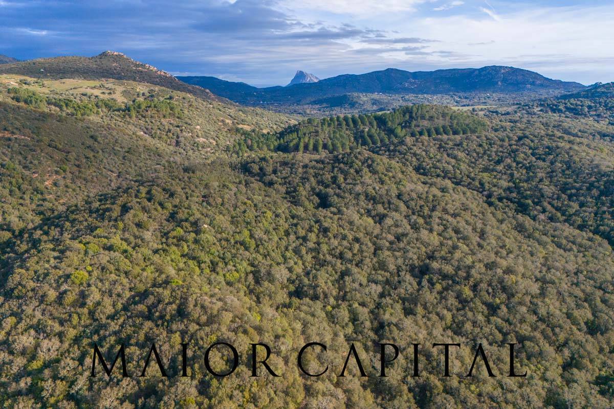 Terreno Agricolo in vendita a Padru