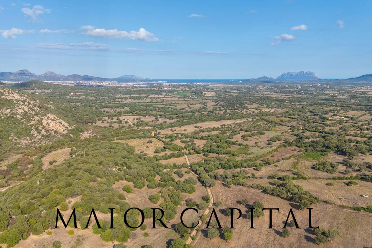 Casa singola in vendita a Olbia