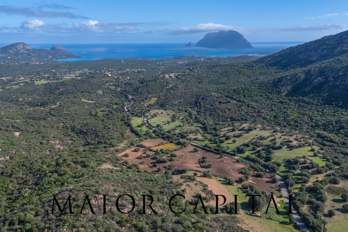 Terreno Agricolo in vendita a Loiri Porto San Paolo, Tiridd