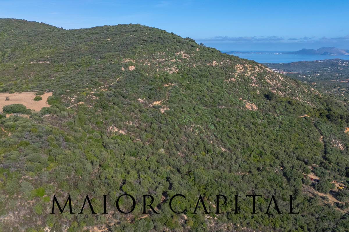 Terreno Agricolo in vendita a Loiri Porto San Paolo, Tiridd