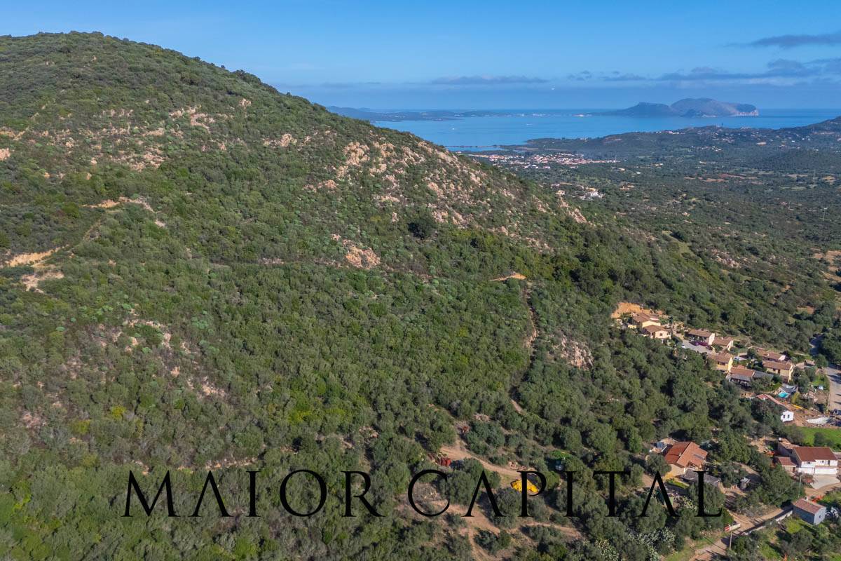 Terreno Agricolo in vendita a Loiri Porto San Paolo, Tiridd