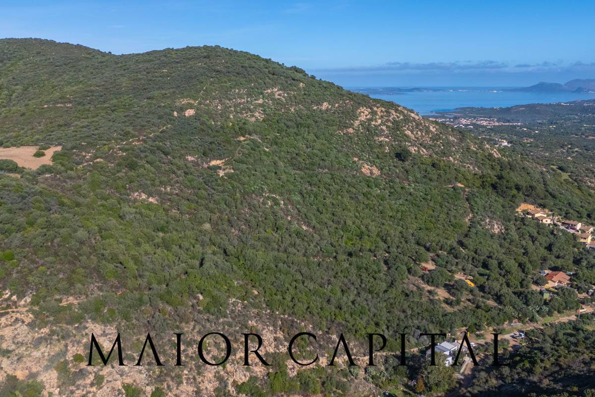 Terreno Agricolo in vendita a Loiri Porto San Paolo, Tiridd