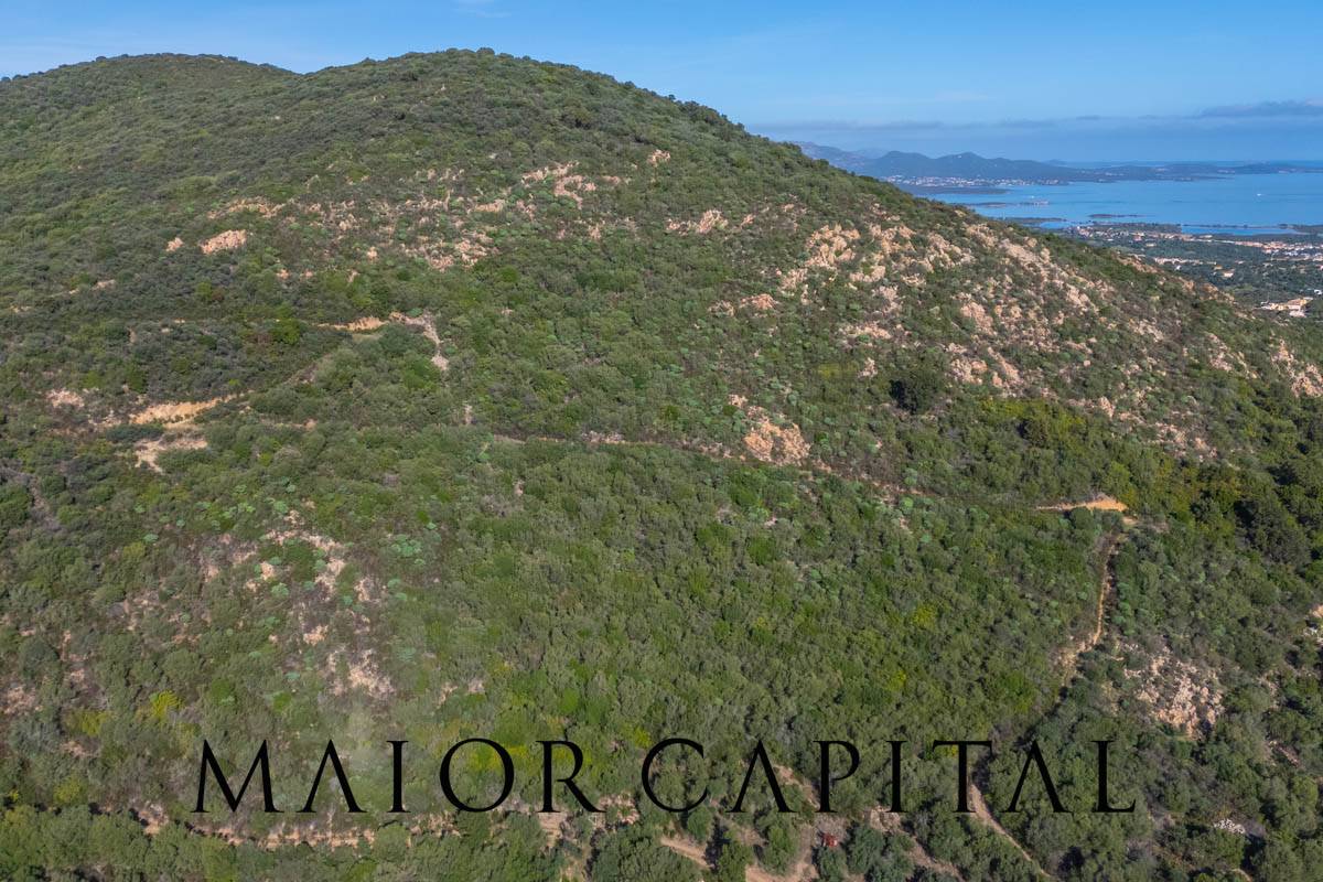 Terreno Agricolo in vendita a Loiri Porto San Paolo, Tiridd