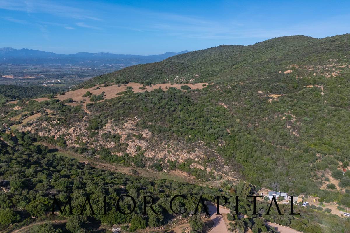 Terreno Agricolo in vendita a Loiri Porto San Paolo, Tiridd