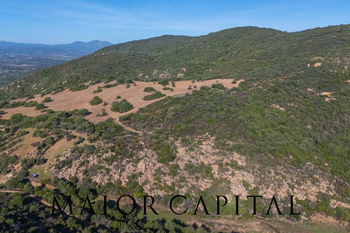 Terreno Agricolo in vendita a Loiri Porto San Paolo, Tiridd