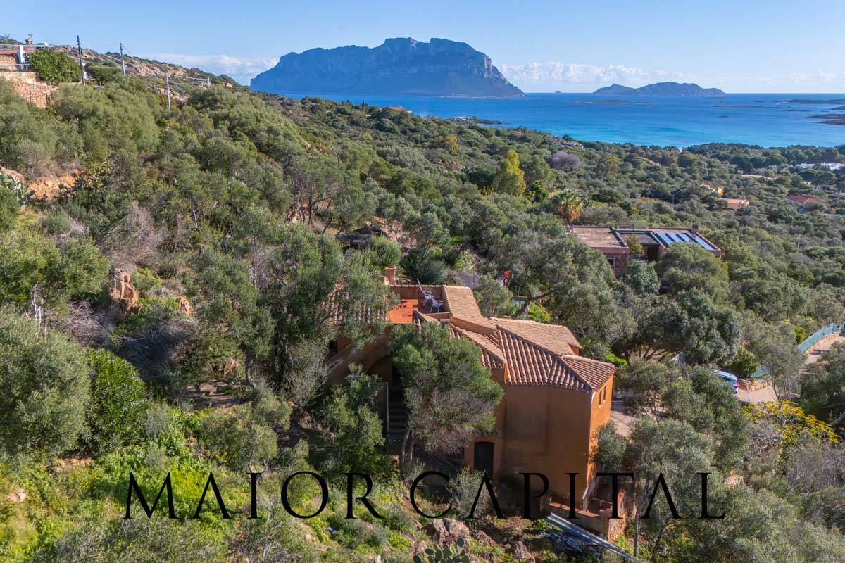 Villa in vendita a Olbia, Porto Istana