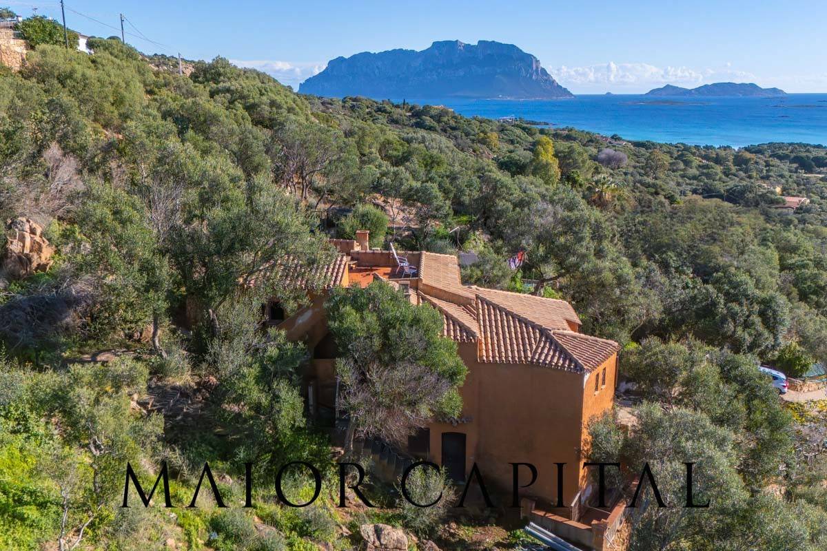 Villa in vendita a Olbia, Porto Istana