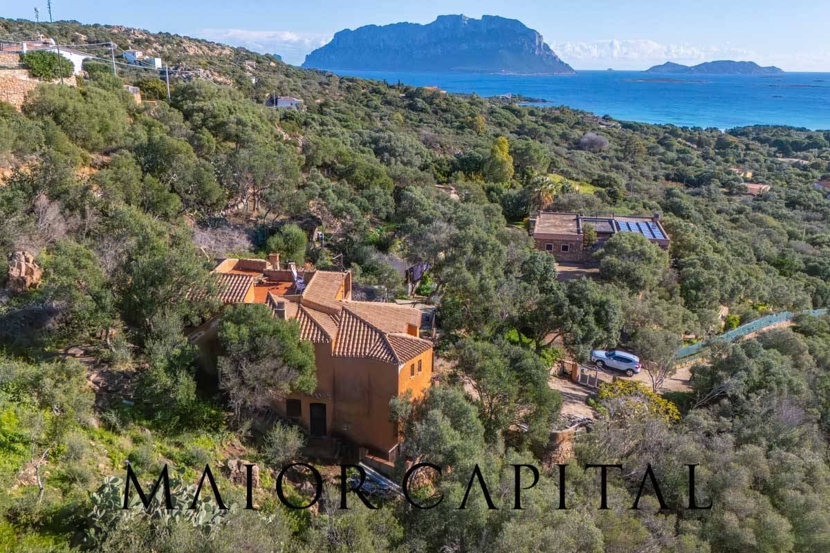 Villa in vendita a Olbia, Porto Istana