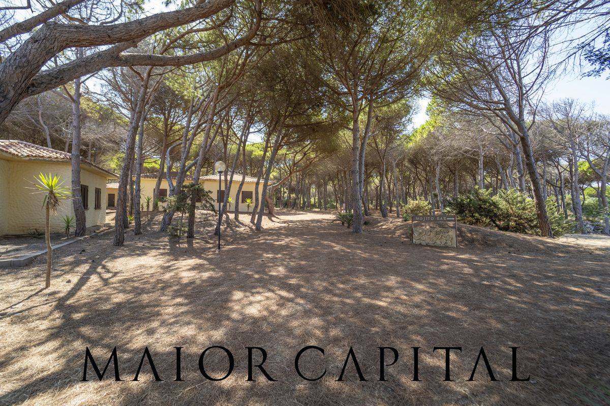 Attivit commerciale in vendita a Cuglieri