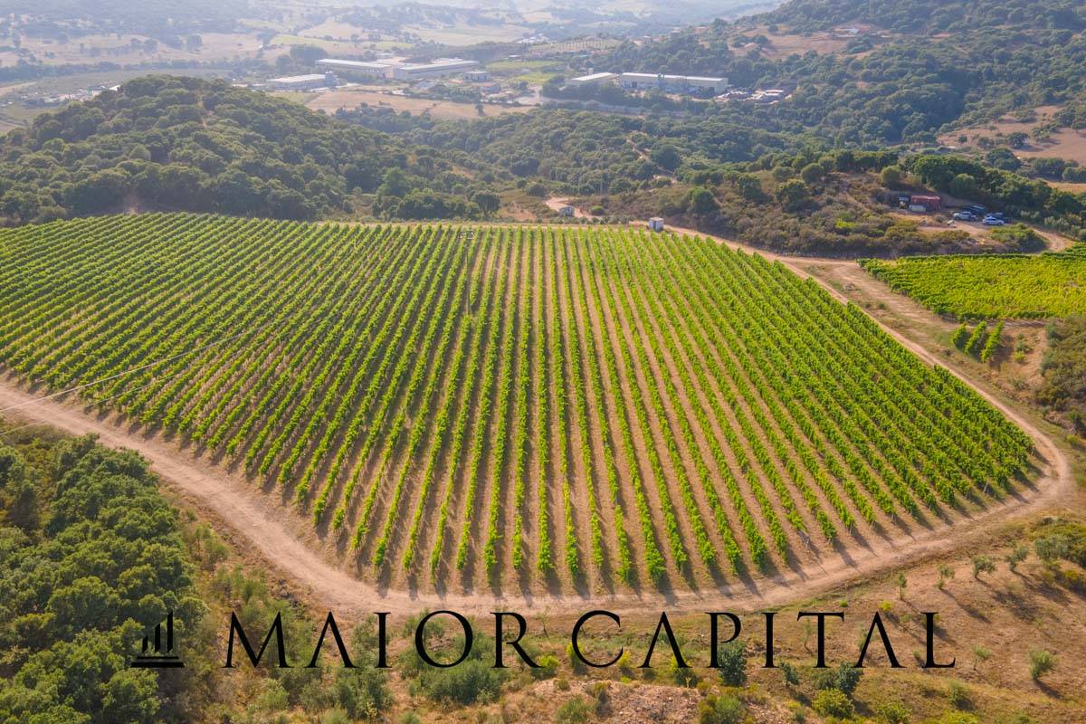 Terreno Agricolo in vendita a Calangianus