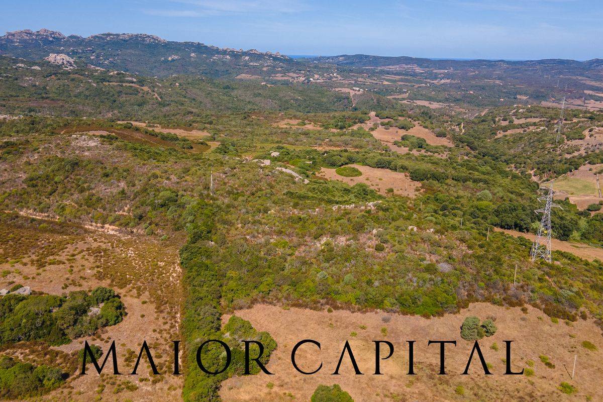 Terreno Agricolo in vendita a Santa Teresa Gallura, San Pasquale