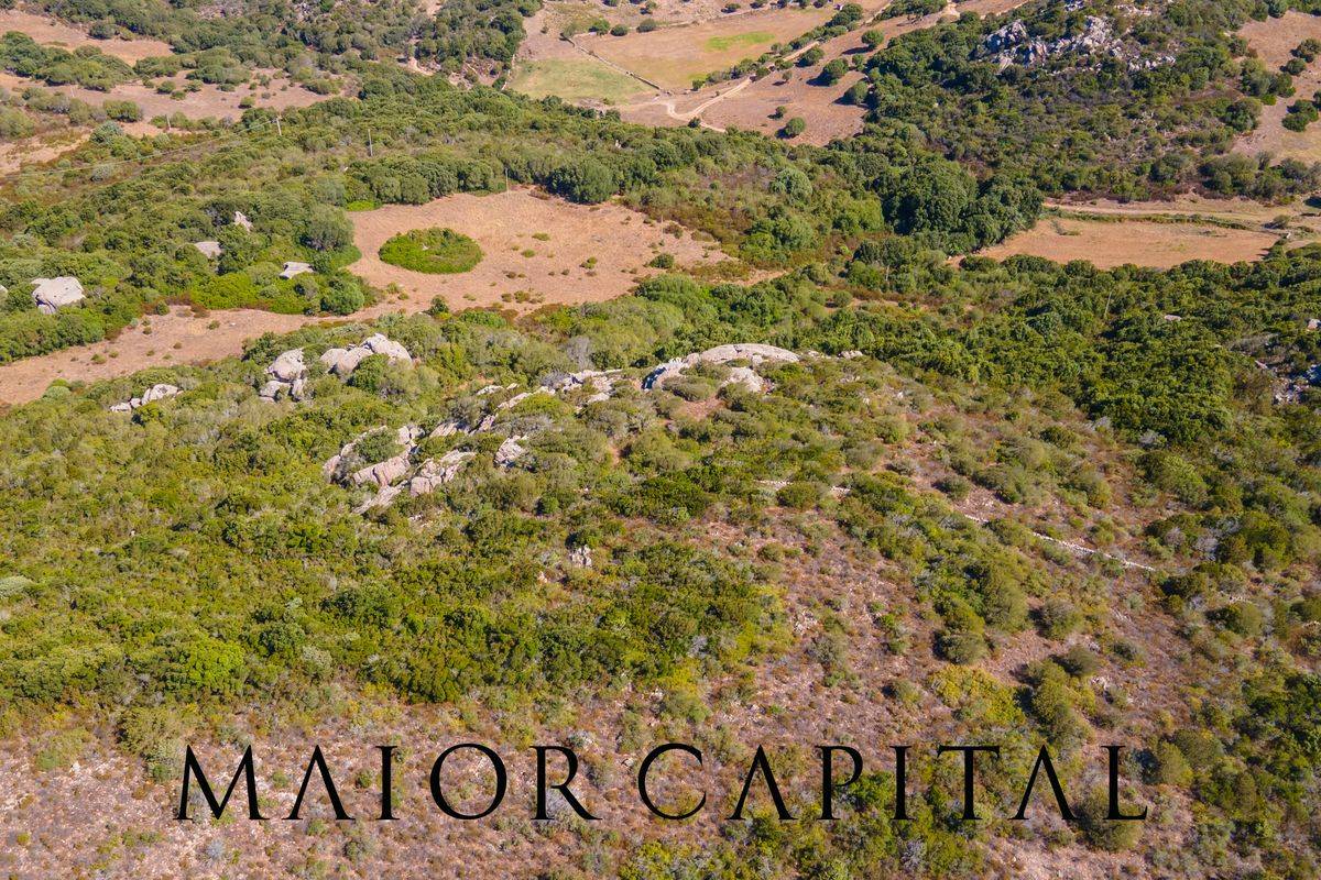 Terreno Agricolo in vendita a Santa Teresa Gallura, San Pasquale
