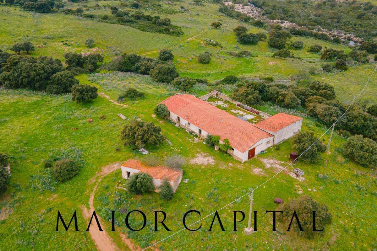 Terreno Agricolo in vendita a Berchidda, Osseddu