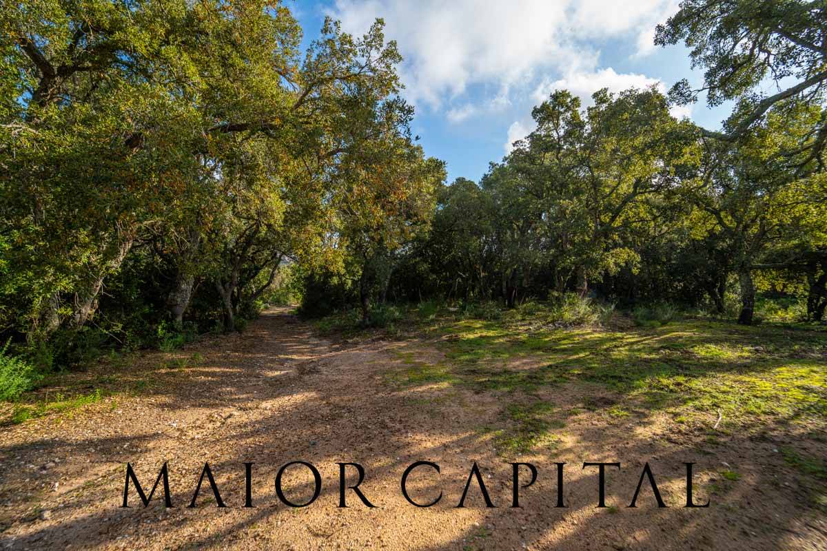 Terreno Agricolo in vendita a Calangianus