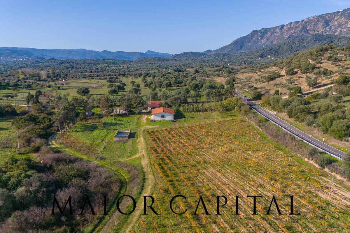 Terreno Agricolo in vendita a Oliena