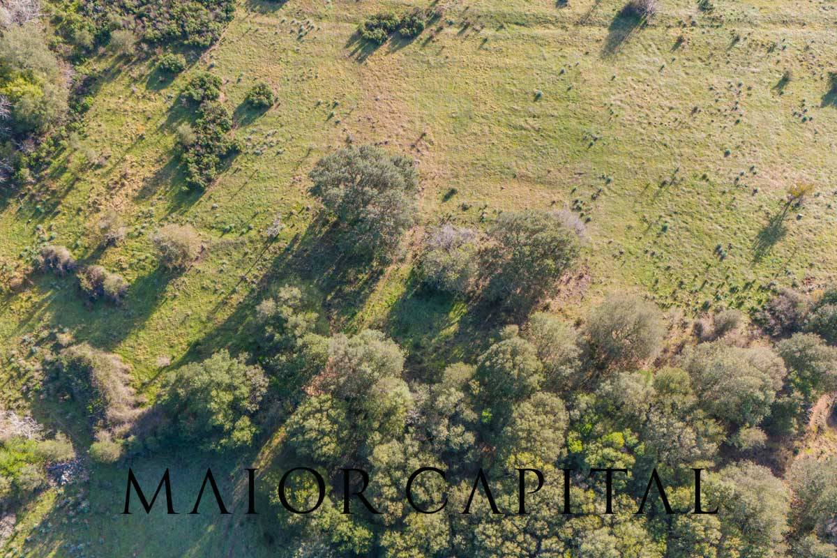 Terreno Agricolo in vendita a Padru