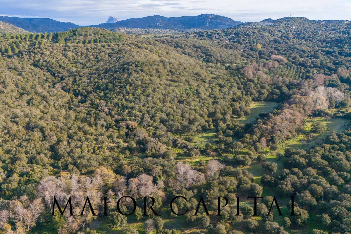 Terreno Agricolo in vendita a Padru