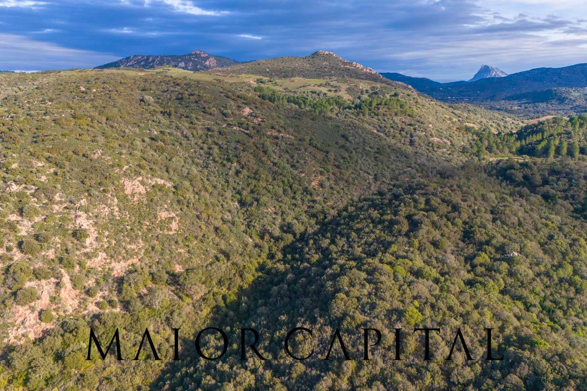 Terreno Agricolo in vendita a Padru