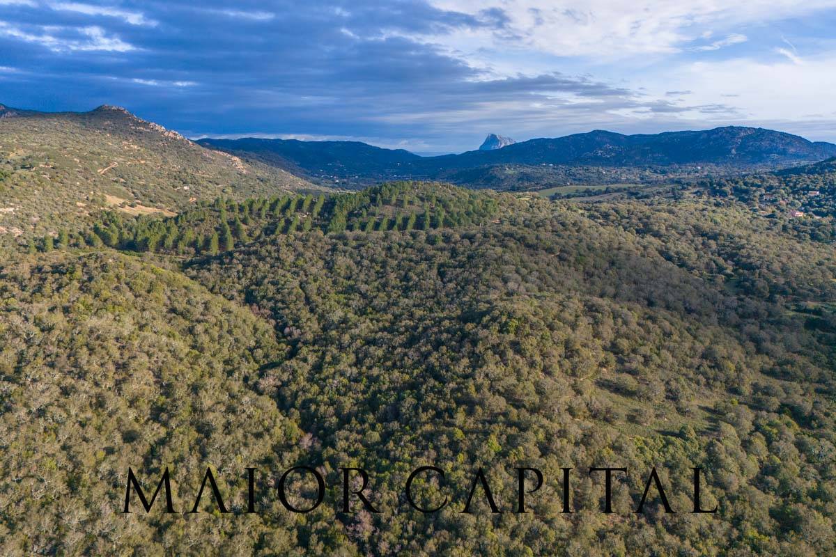 Terreno Agricolo in vendita a Padru