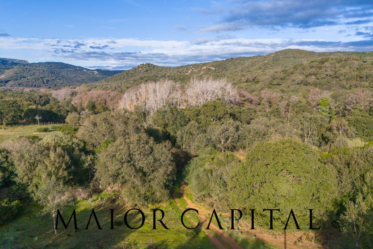Terreno Agricolo in vendita a Padru